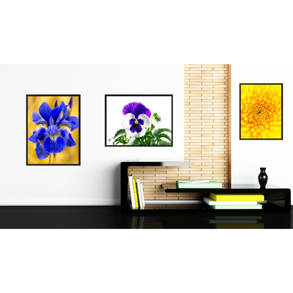 Pansy Flower Framed Canvas Print Home Dcor Wall Art Image 2