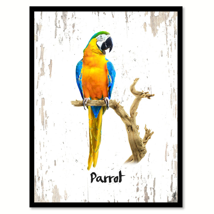 Parrot Bird Canvas Print with Black Picture Frame Gift Ideas  Wall Art Decoration Image 1
