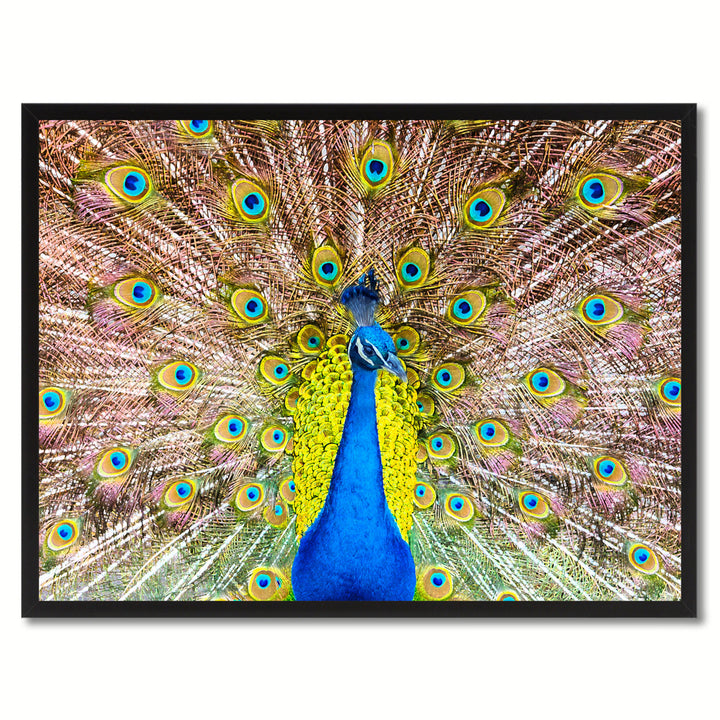 Peacock Bird Canvas Print with Black Picture Frame Gift Ideas  Wall Art Decoration Image 1