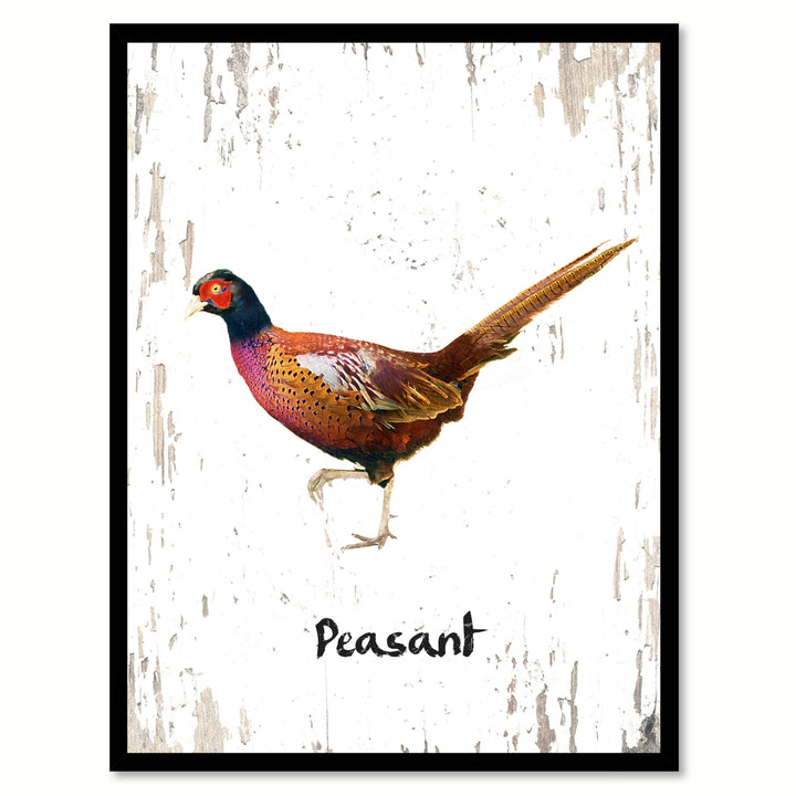 Peasant Bird Canvas Print with Black Picture Frame Gift Ideas  Wall Art Decoration Image 1