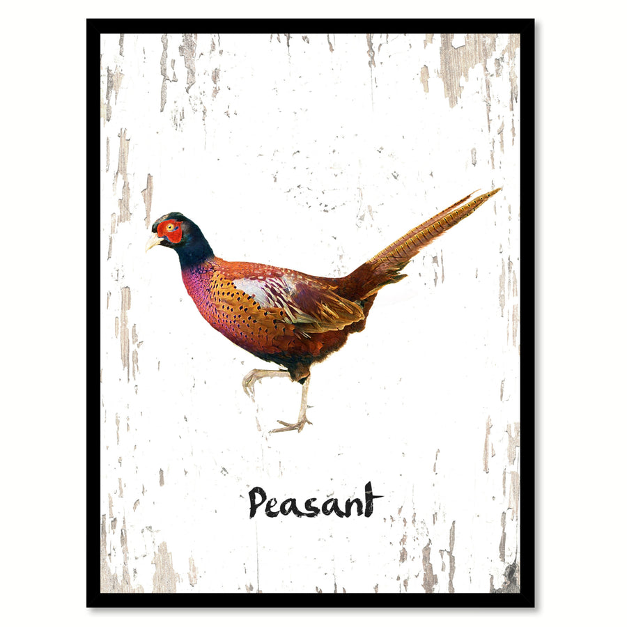 Peasant Bird Canvas Print with Black Picture Frame Gift Ideas  Wall Art Decoration Image 1