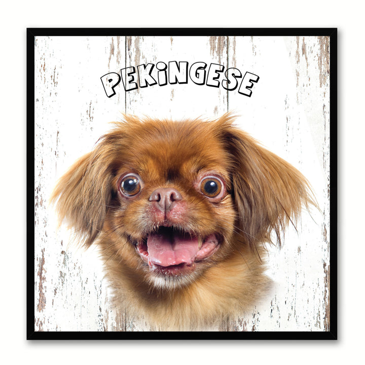 Pekingese Dog Canvas Print with Picture Frame Gift  Wall Art Decoration Image 1