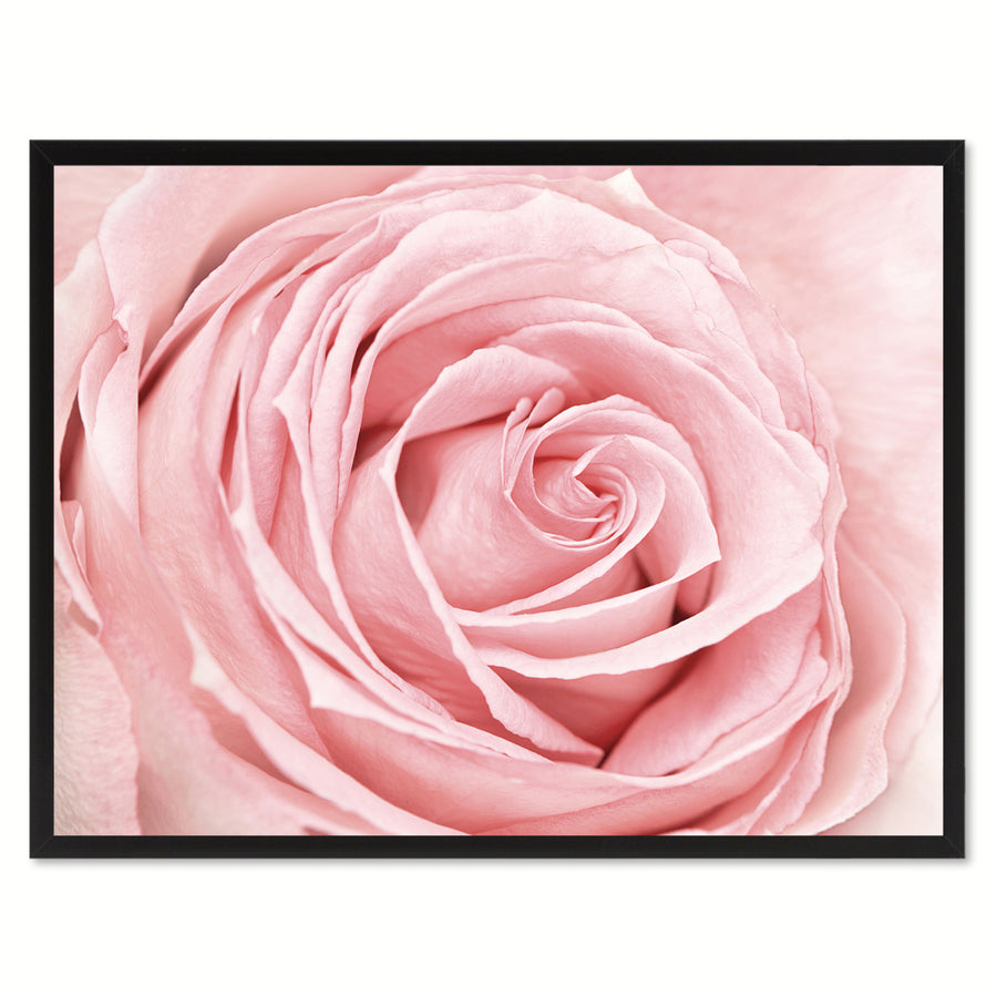 Pink Rose Flower Framed Canvas Print Home Dcor Wall Art Image 1