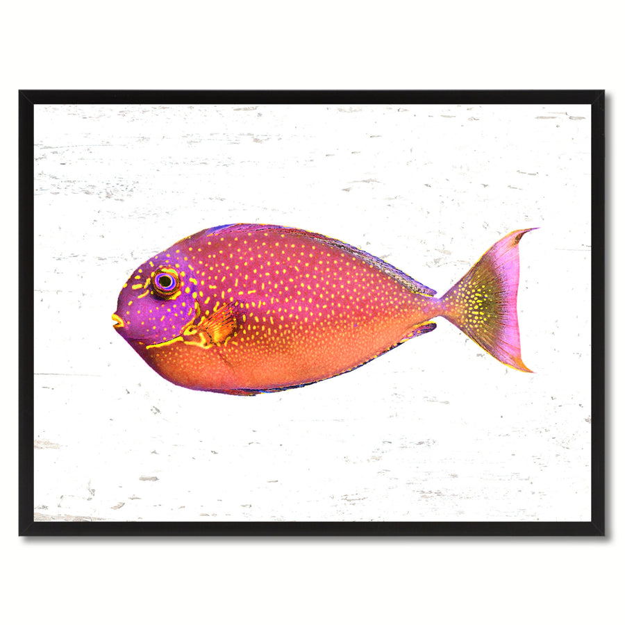 Pink Tropical Fish Painting Reproduction Gifts  Wall Art Canvas Prints Picture Frame Image 1