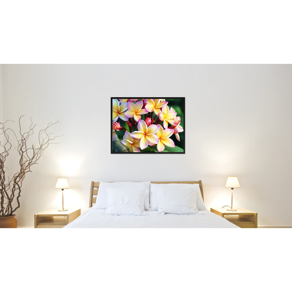 Plumeria Flower Framed Canvas Print Home Dcor Wall Art Image 2