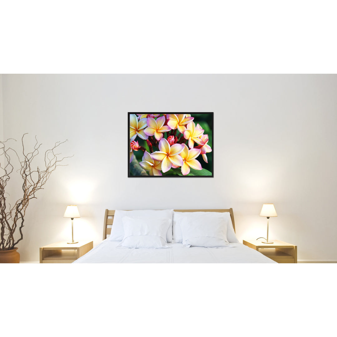 Plumeria Flower Framed Canvas Print Home Dcor Wall Art Image 2