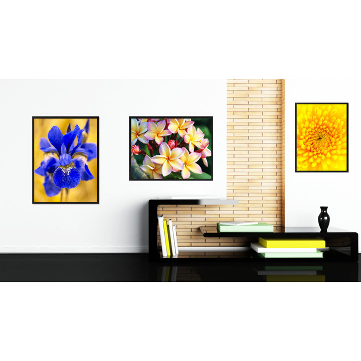 Plumeria Flower Framed Canvas Print Home Dcor Wall Art Image 3