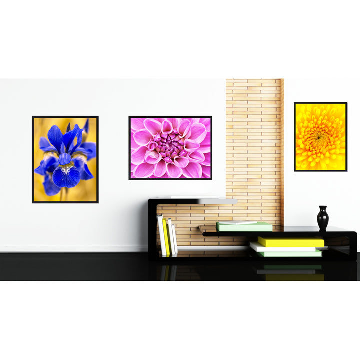 Purple Chrysanthemum Flower Framed Canvas Print Home Dcor Wall Art Image 3