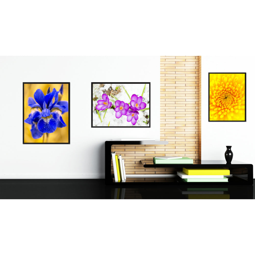 Purple Crocuses Flower Framed Canvas Print Home Dcor Wall Art Image 2