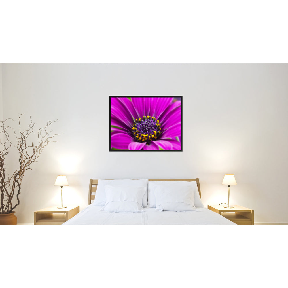 Purple Gazania Flower Framed Canvas Print Home Dcor Wall Art Image 2