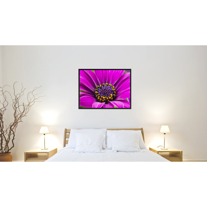 Purple Gazania Flower Framed Canvas Print Home Dcor Wall Art Image 2
