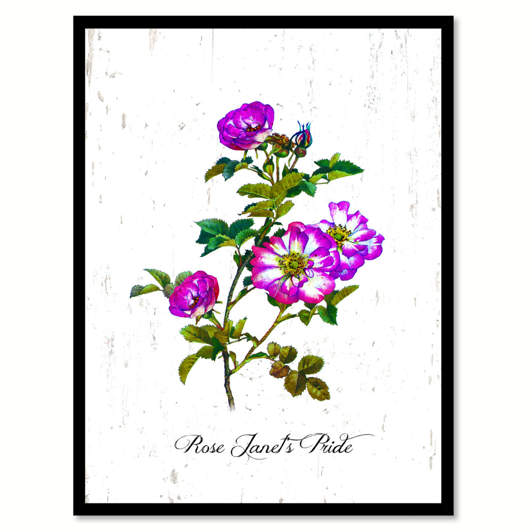Purple Janets Pride Rose Flower Canvas Print with Picture Frame  Wall Art Gifts Image 1
