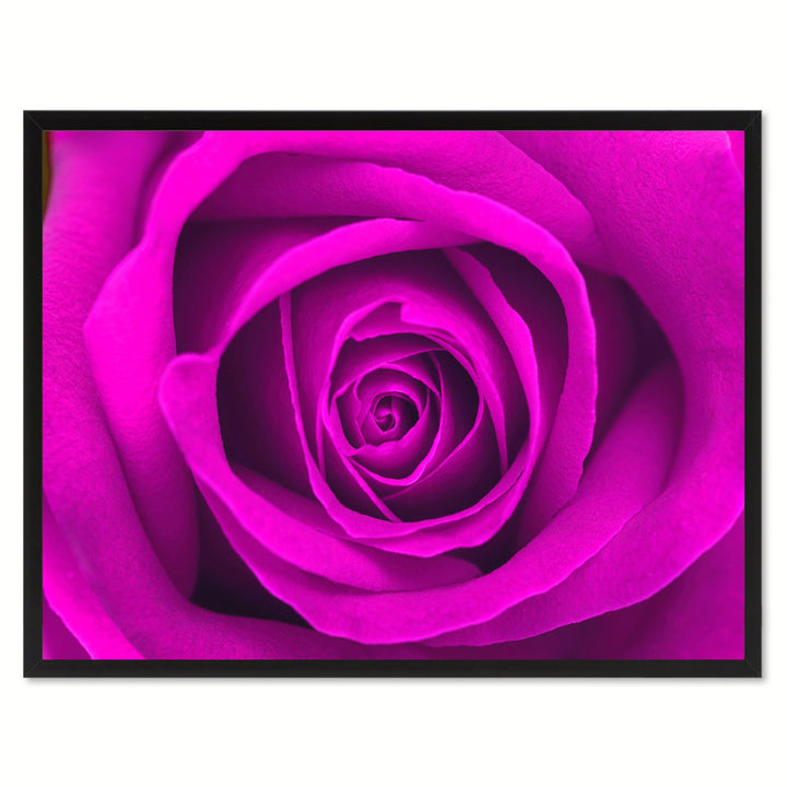 Purple Rose Flower Framed Canvas Print Home Dcor Wall Art Image 1