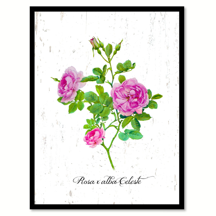 Purple X alba Celeste Rose Flower Canvas Print with Picture Frame  Wall Art Gifts Image 1