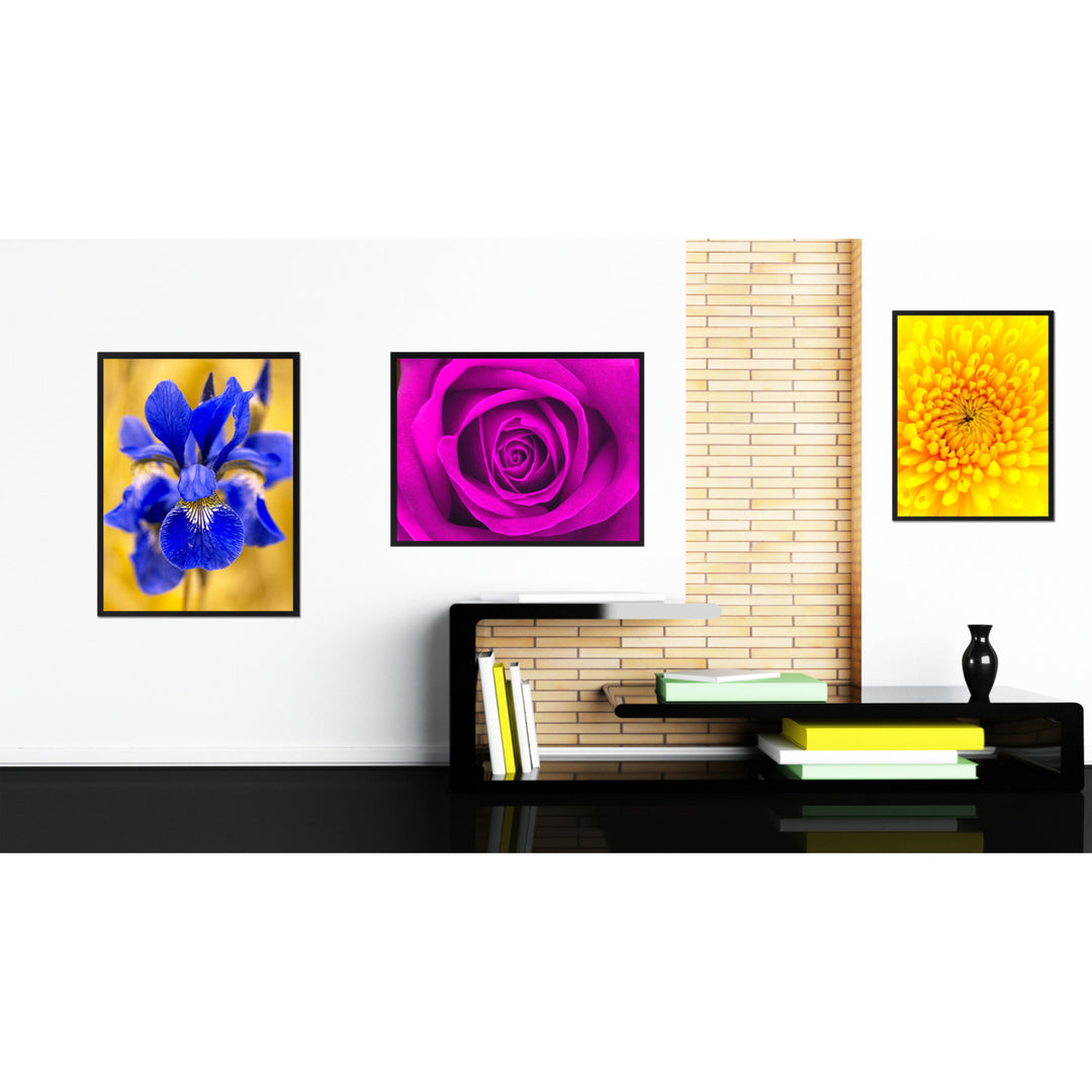 Purple Rose Flower Framed Canvas Print Home Dcor Wall Art Image 3