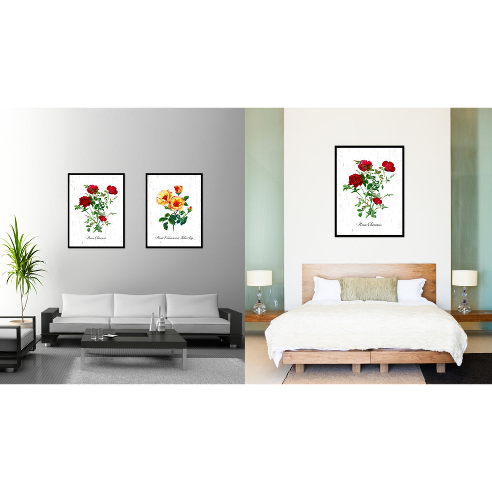 Red Chinensis Rose Flower Canvas Print with Picture Frame  Wall Art Gifts Image 2