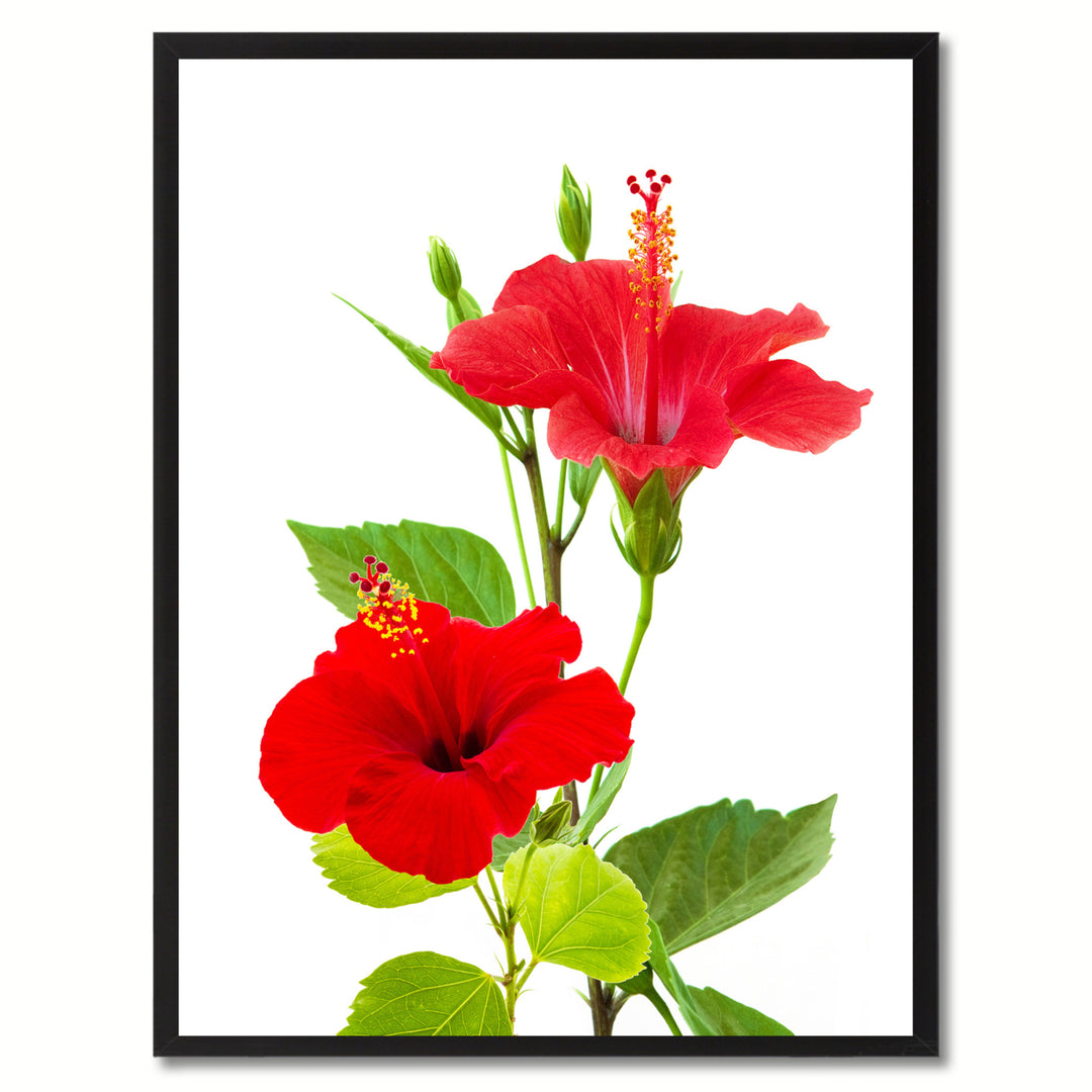 Red Hibiscus Flower Framed Canvas Print  Wall Art Image 1