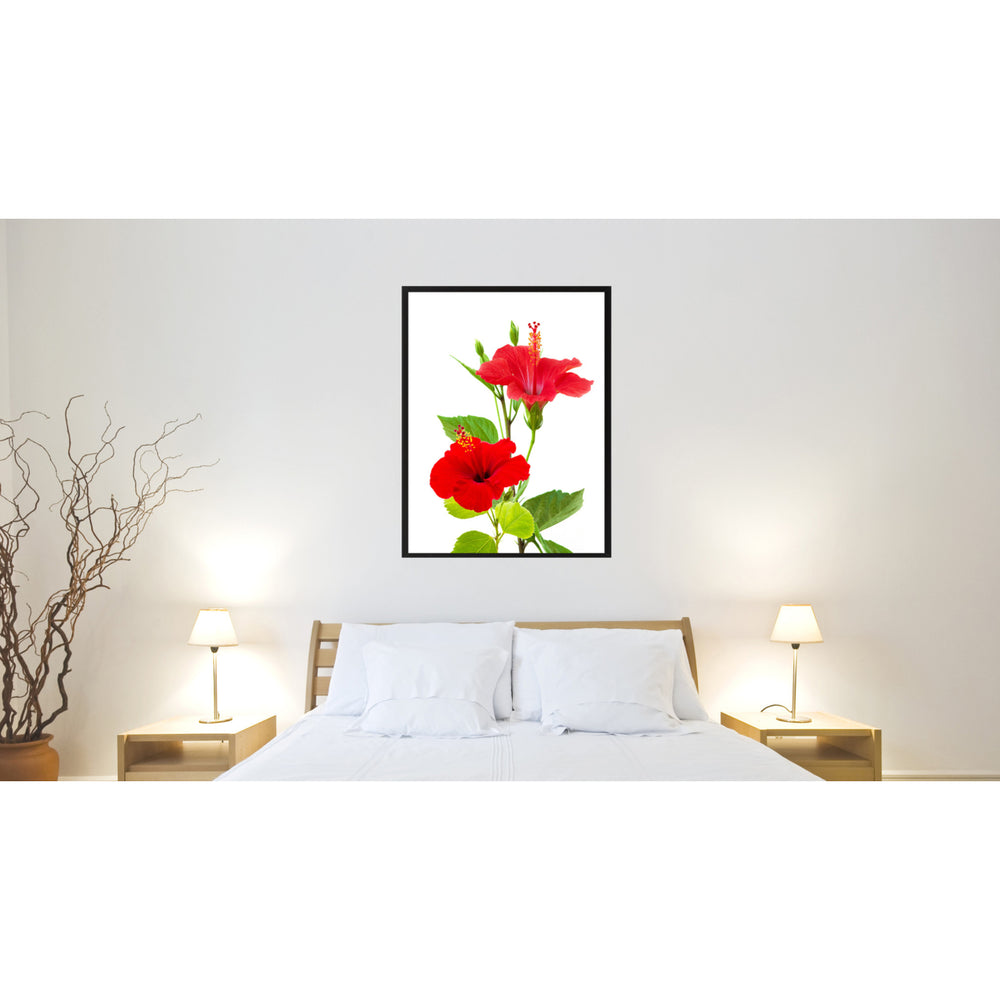 Red Hibiscus Flower Framed Canvas Print  Wall Art Image 2