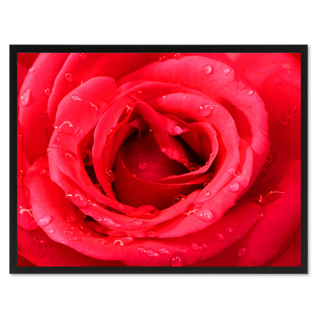 Red Rose Flower Framed Canvas Print  Wall Art Image 1