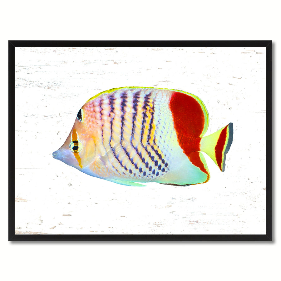 Red Tropical Fish Painting Reproduction Gifts  Wall Art Canvas Prints Picture Frame Image 1