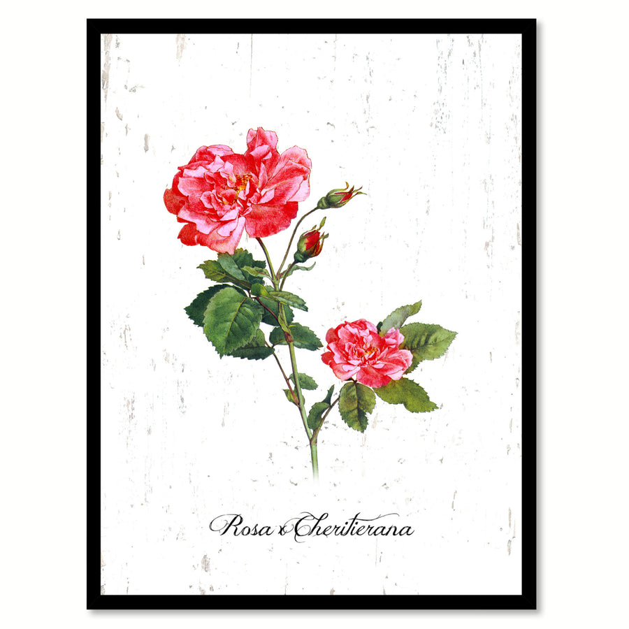 Red X Cheritierana Rose Flower Canvas Print with Picture Frame  Wall Art Gifts Image 1