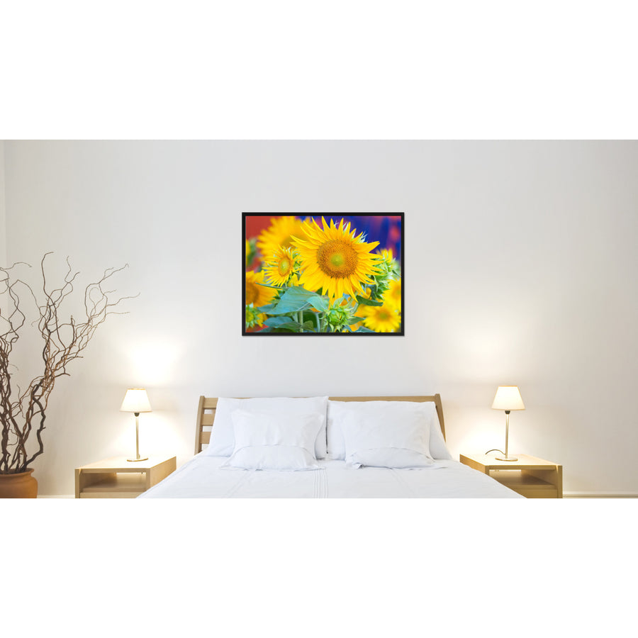 Sunflowers Flower Framed Canvas Print  Wall Art Image 1