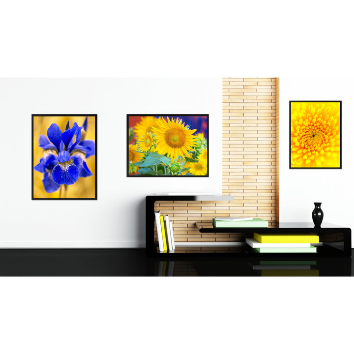 Sunflowers Flower Framed Canvas Print  Wall Art Image 2