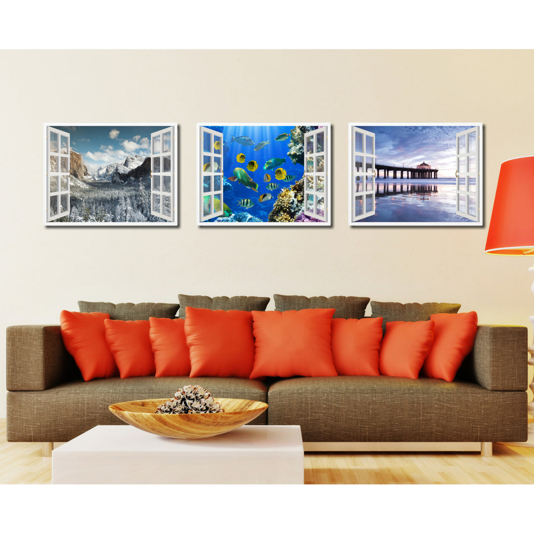 Tropical Fishes Picture 3D French Window Canvas Print  Wall Frame Image 3