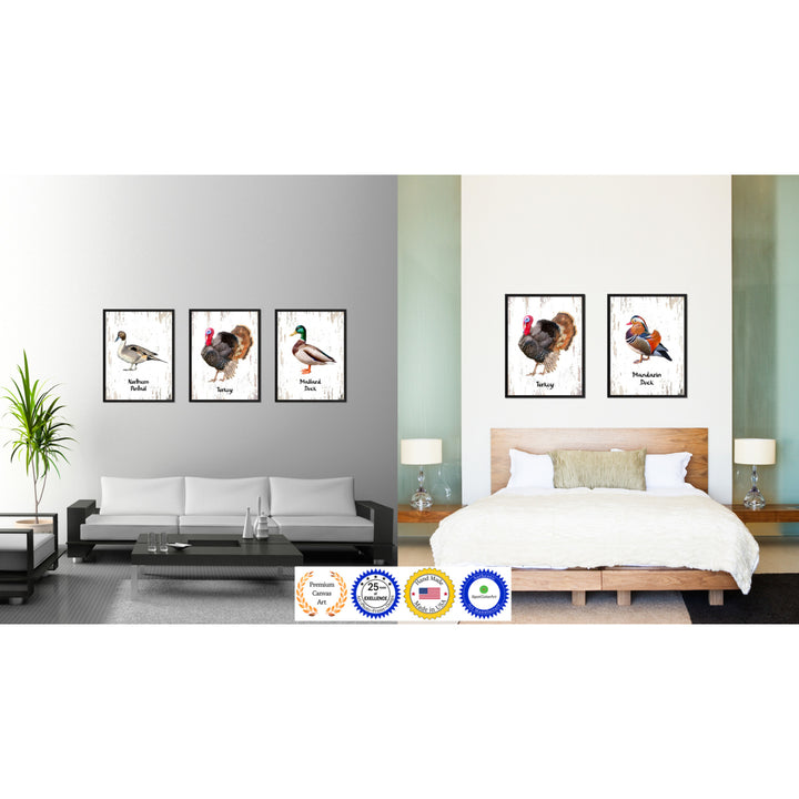 Turkey Bird Canvas Print with Black Picture Frame Gift Ideas  Wall Art Decoration Image 3