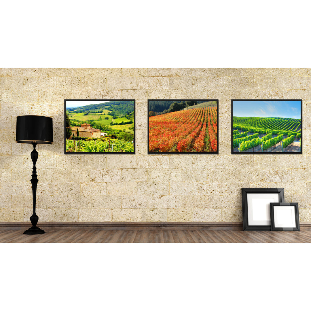 Vineyard Tuscany Italy Landscape Photo Canvas Print Pictures Frame  Wall Art Gifts Image 2