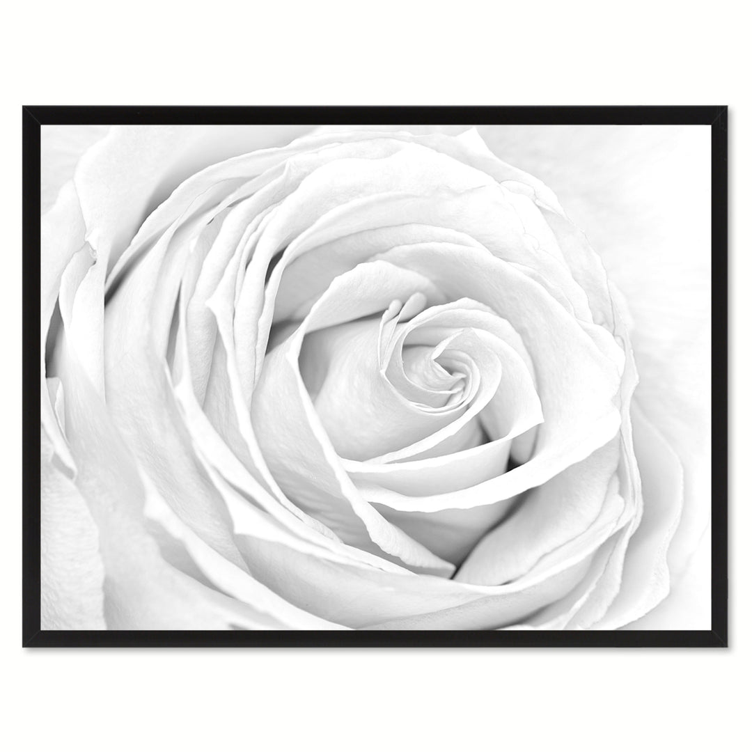 White Rose Flower Framed Canvas Print  Wall Art Image 1