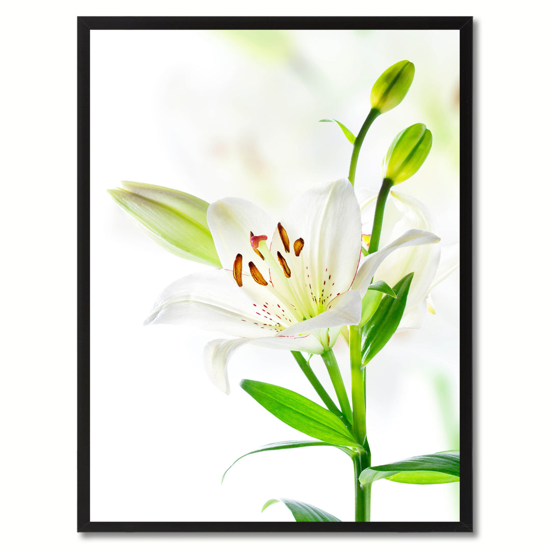 White Lily Flower Framed Canvas Print  Wall Art Image 1
