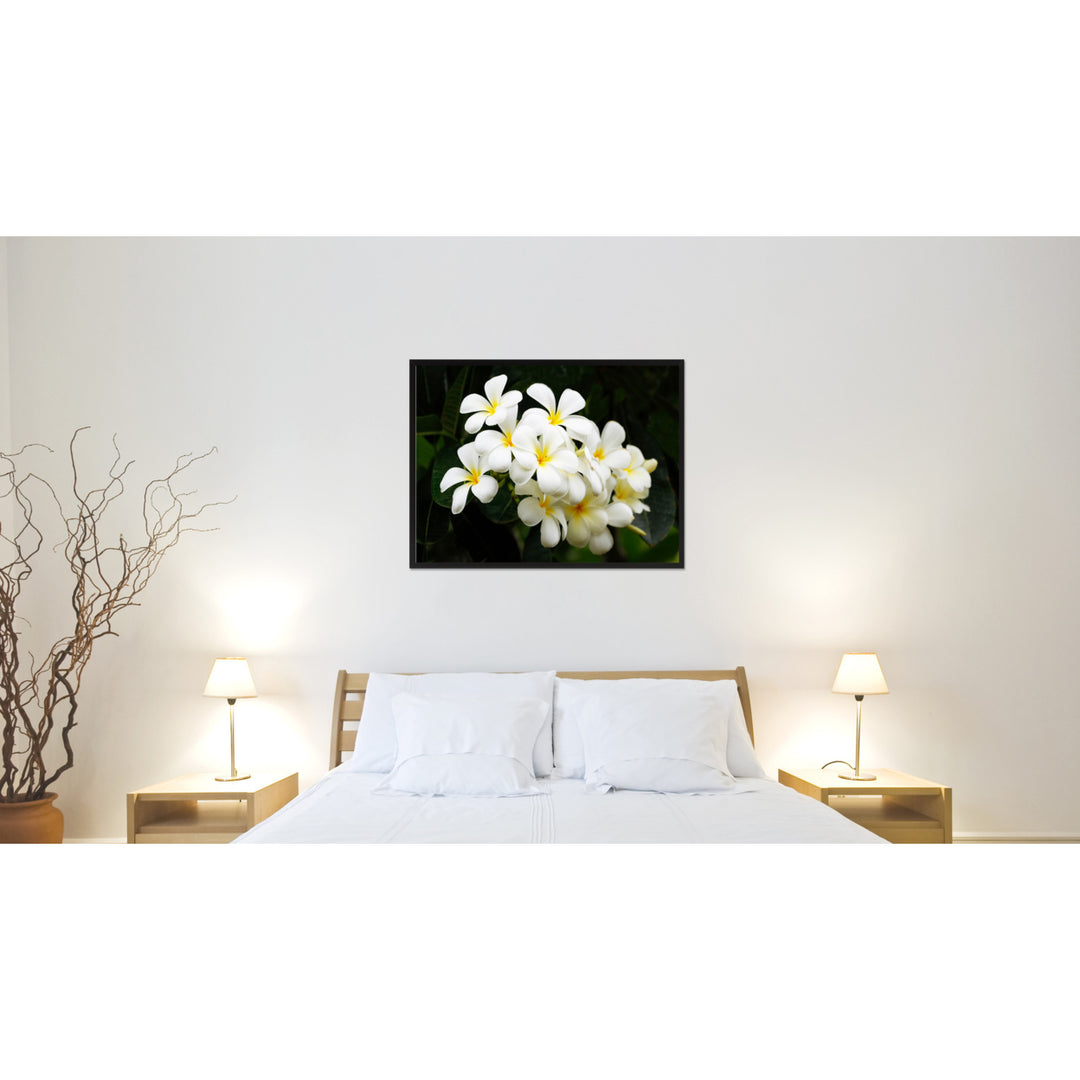 White Plumeria Flower Framed Canvas Print  Wall Art Image 2