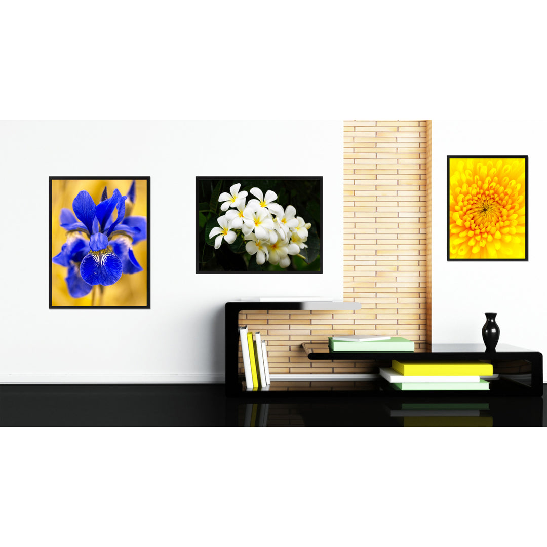 White Plumeria Flower Framed Canvas Print  Wall Art Image 3