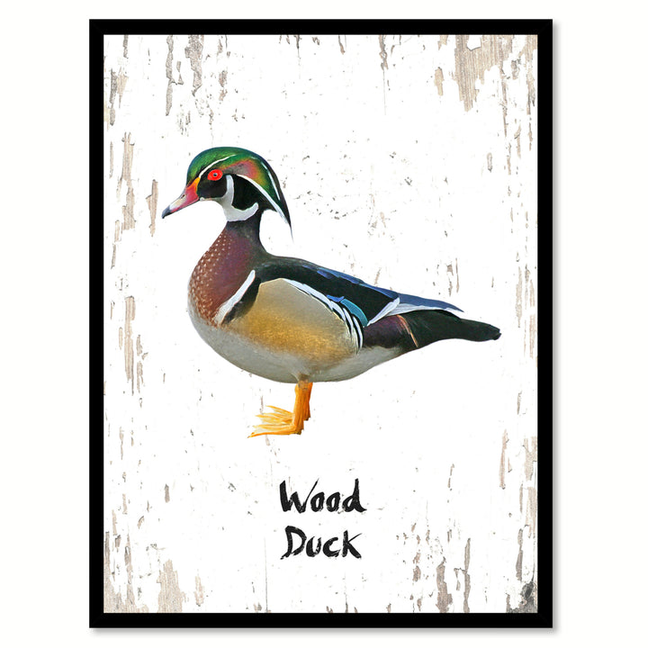 Wood Duck Bird Canvas Print with Black Picture Frame Gift Ideas  Wall Art Decoration 66031 Image 1