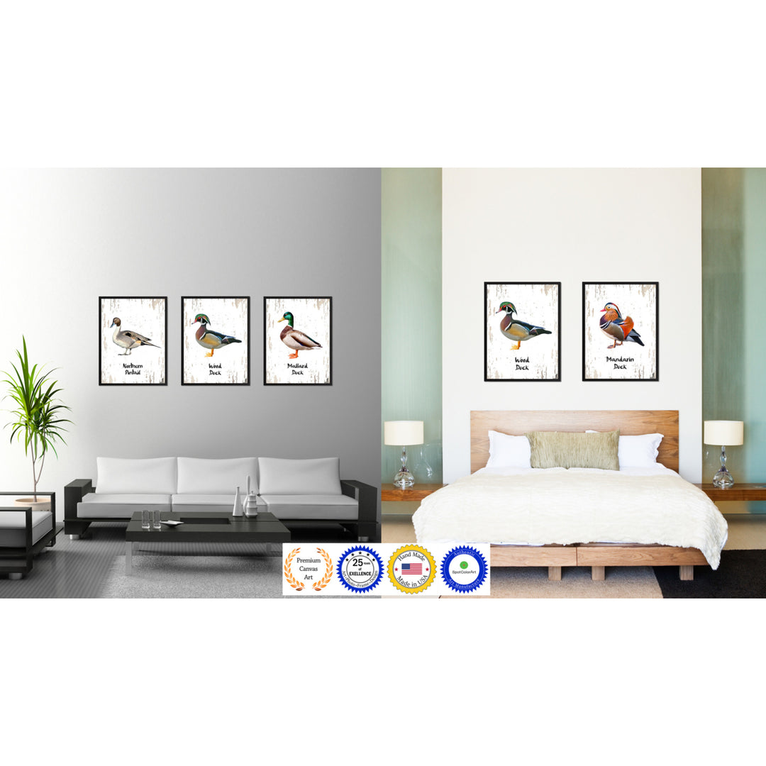 Wood Duck Bird Canvas Print with Black Picture Frame Gift Ideas  Wall Art Decoration 66031 Image 3