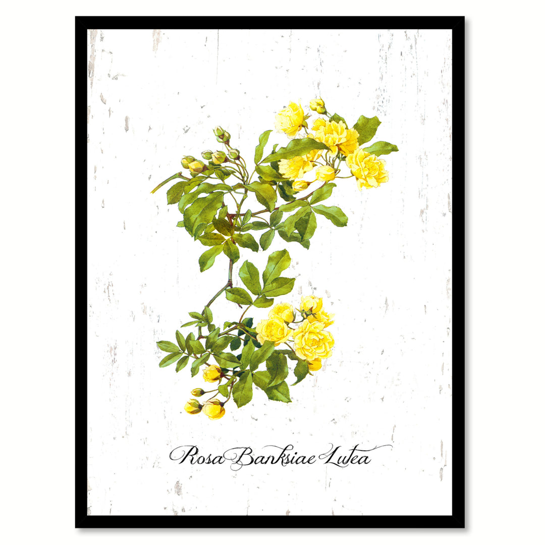 Yellow Banksiae Lutea Rose Flower Canvas Print with Picture Frame  Wall Art Decoration Gifts 71003 Image 1