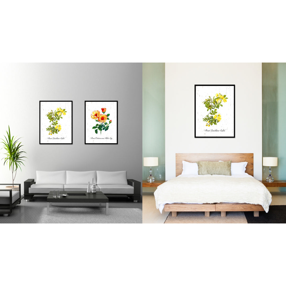 Yellow Banksiae Lutea Rose Flower Canvas Print with Picture Frame  Wall Art Decoration Gifts 71003 Image 2