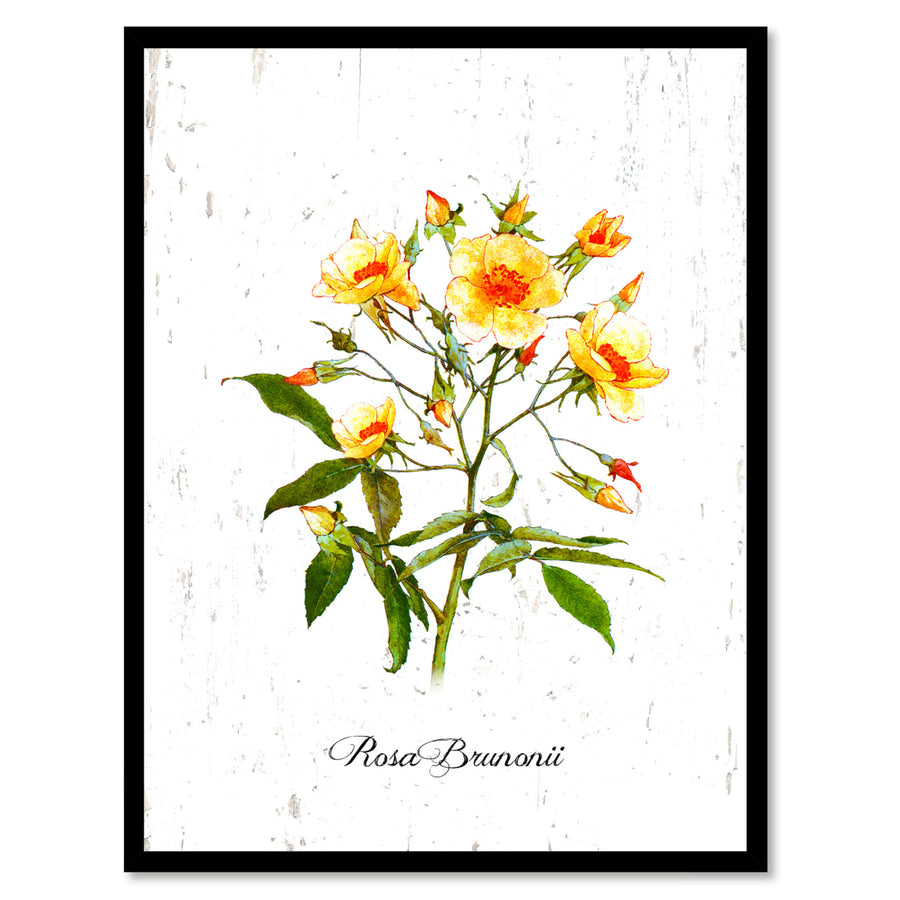 Yellow Brunonii Rose Flower Canvas Print with Picture Frame  Wall Art Gifts Image 1