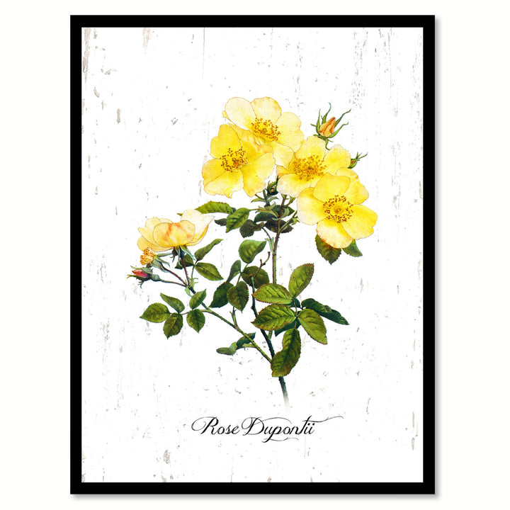 Yellow Dupontii Rose Flower Canvas Print with Picture Frame  Wall Art Gifts Image 1