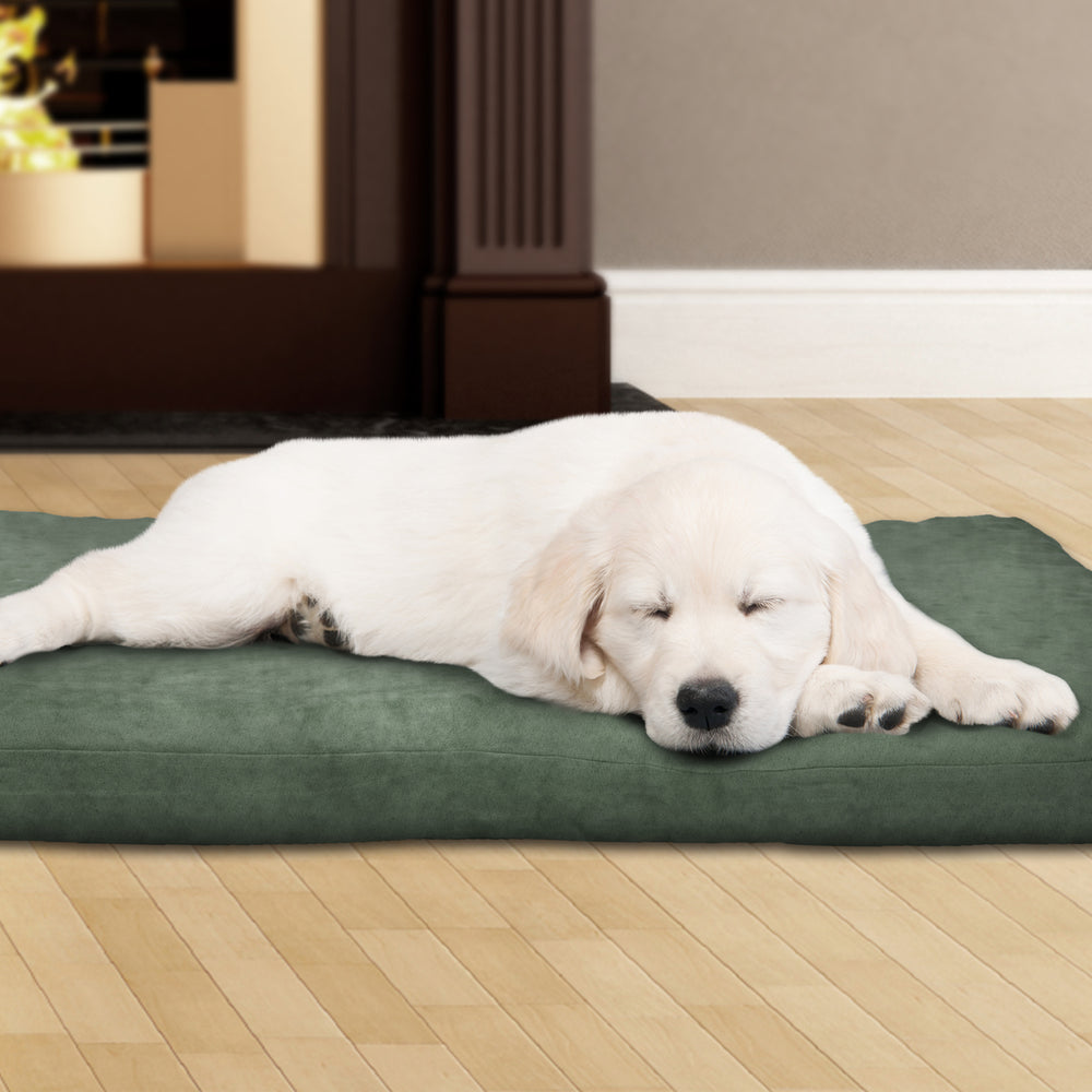 Large Dog Bed 3 Inch Foam Comfy Cozy Zippered Removable Washable Cover 44 x 35 Inches Image 2