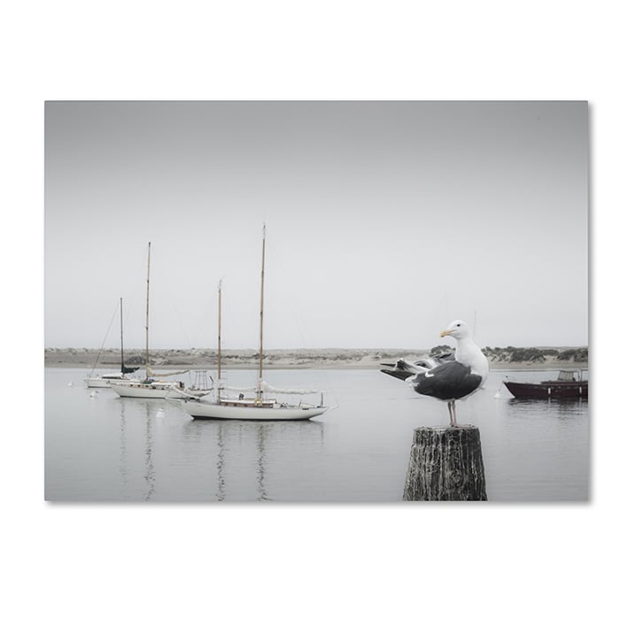 Moises Levy Four Boats and Seagull 14 x 19 Canvas Art Image 1