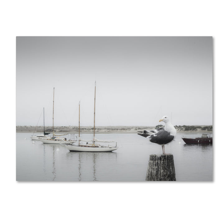 Moises Levy Four Boats and Seagull 14 x 19 Canvas Art Image 2