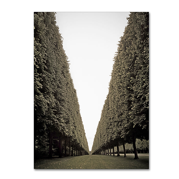 Preston Parisian Versailles Trees 14 x 19 Canvas Art Image 1