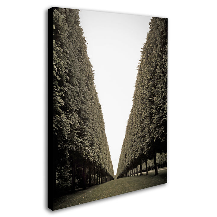 Preston Parisian Versailles Trees 14 x 19 Canvas Art Image 3