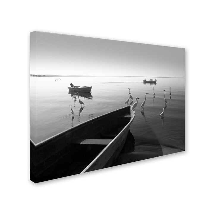 Moises Levy Herons and 3 Boats 14 x 19 Canvas Art Image 3