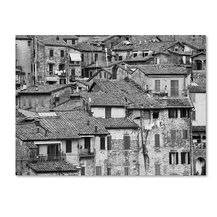 Moises Levy San Gimignano Texture 14 x 19 Canvas Art Image 1