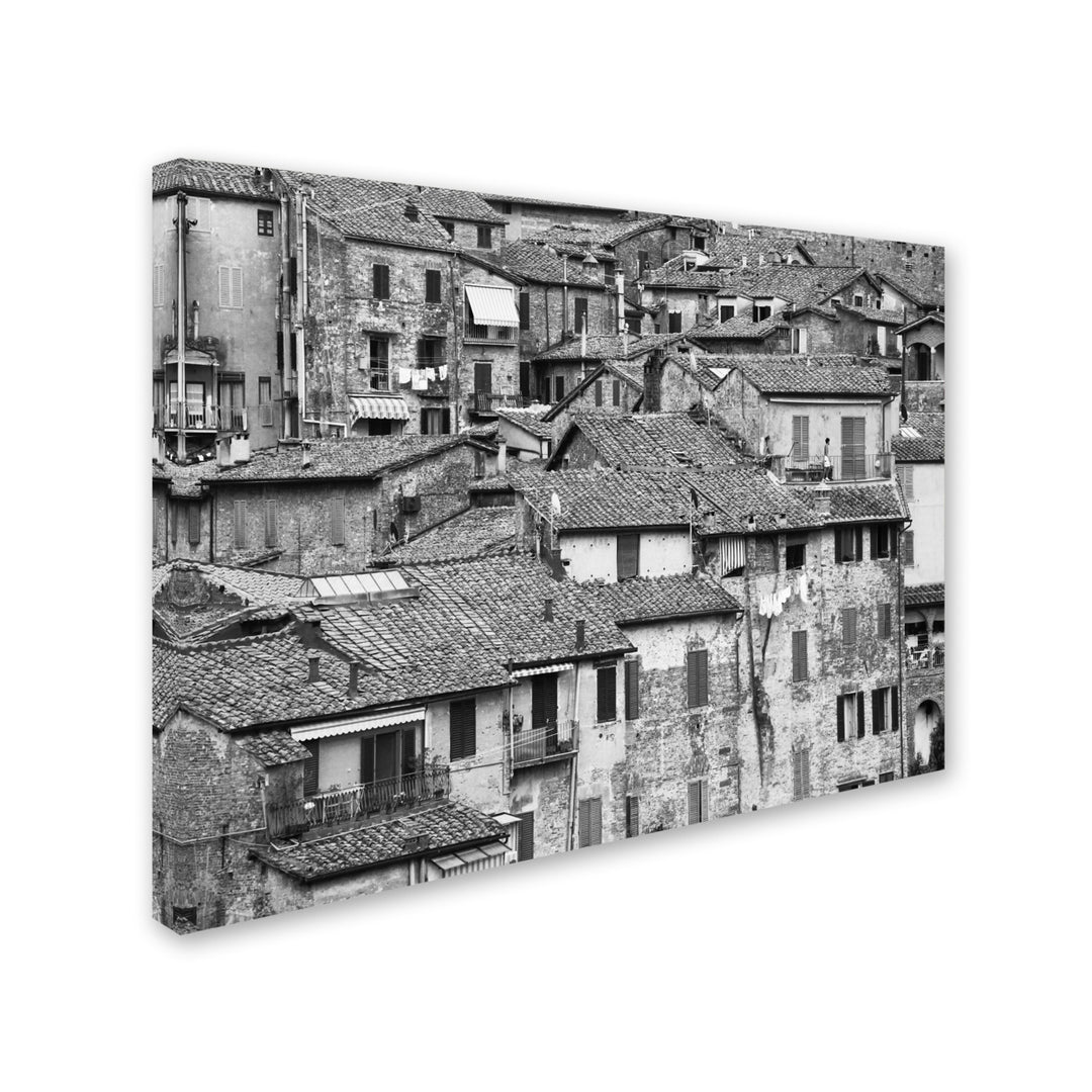 Moises Levy San Gimignano Texture 14 x 19 Canvas Art Image 3