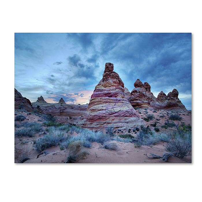 Moises Levy Cottonwood I 14 x 19 Canvas Art Image 1