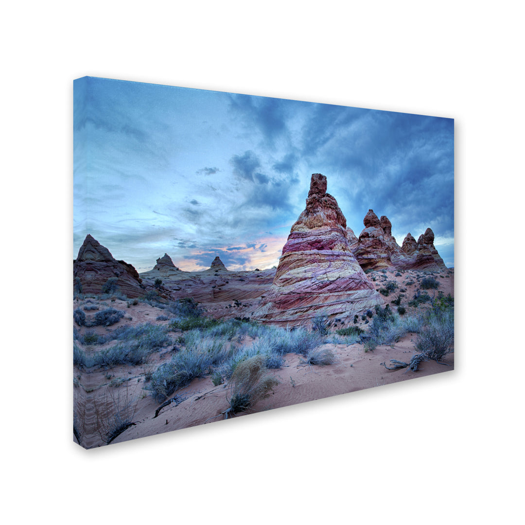 Moises Levy Cottonwood I 14 x 19 Canvas Art Image 3